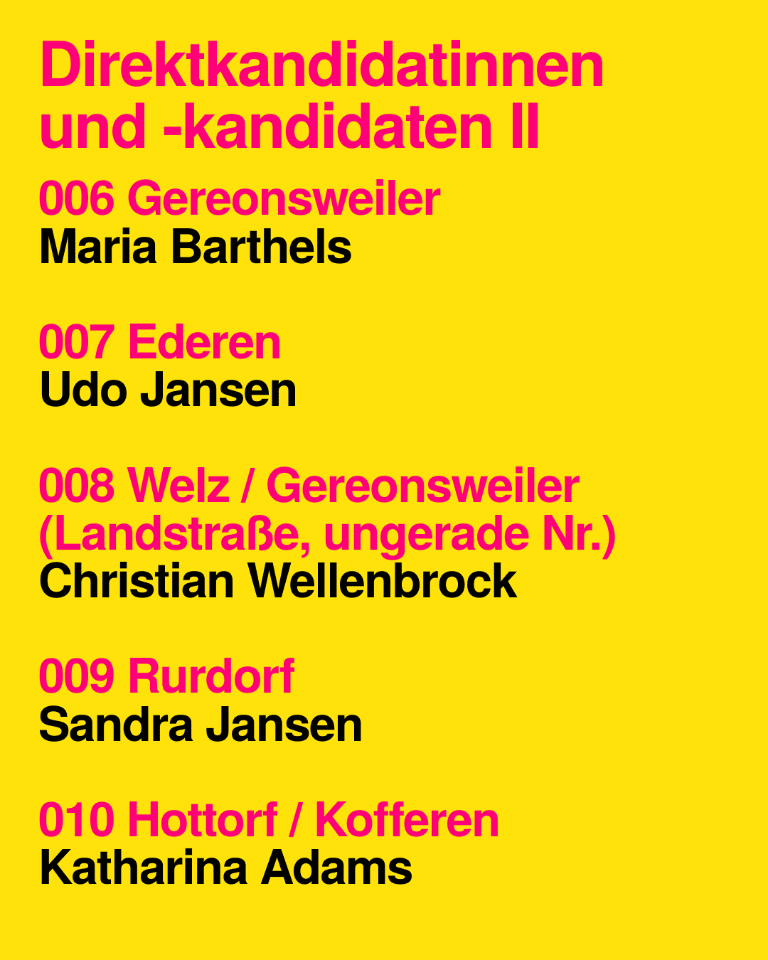 Direktkandidaten II
