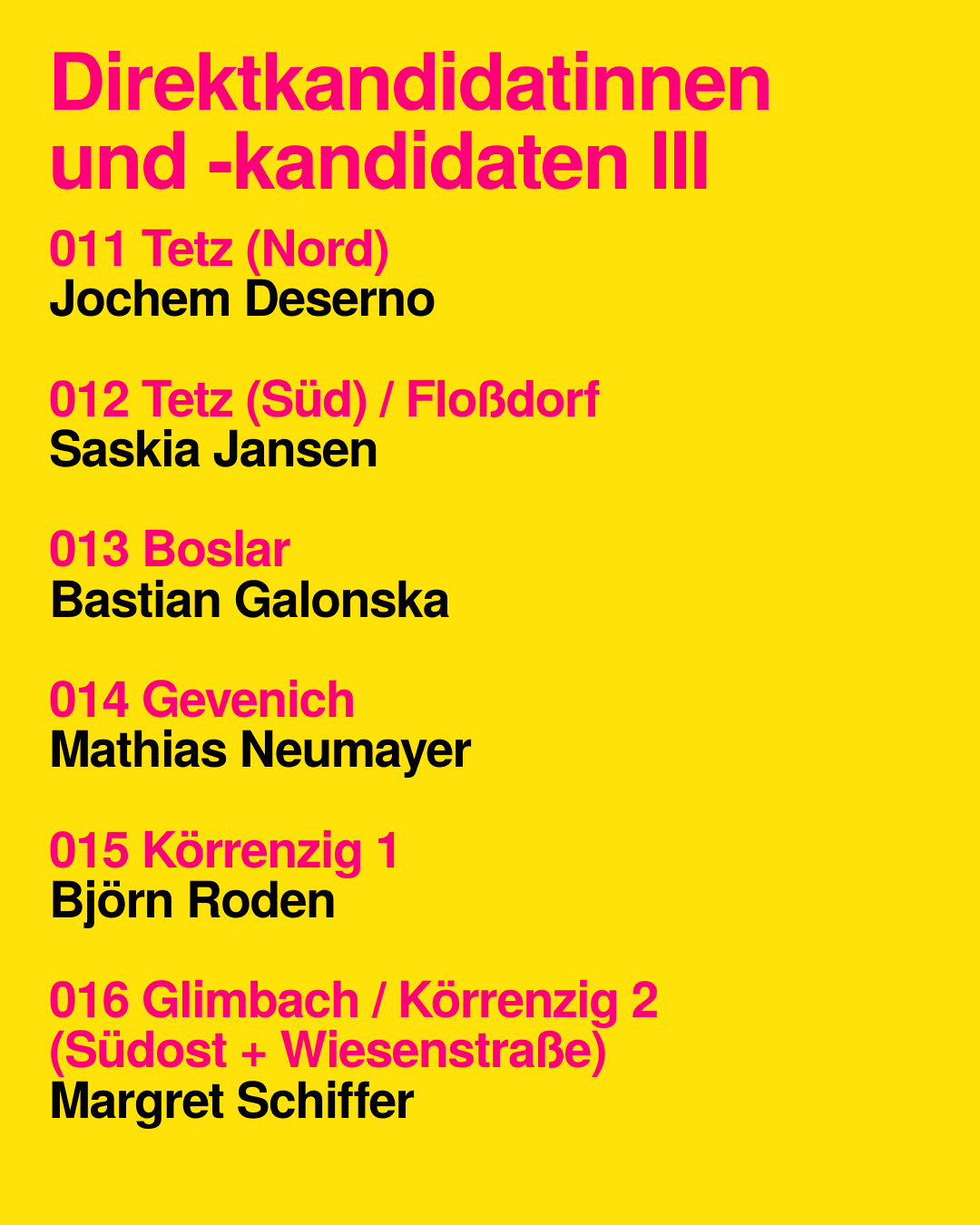 Direktkandidaten III